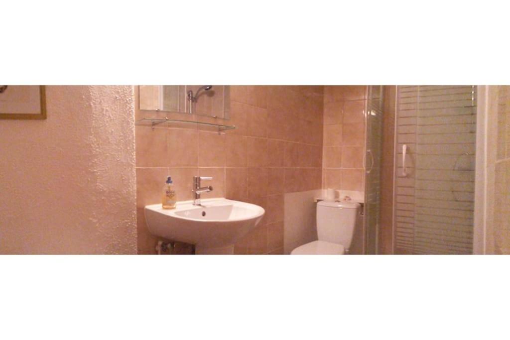 Petit Loft Cosy Apartment Carcassonne Ngoại thất bức ảnh